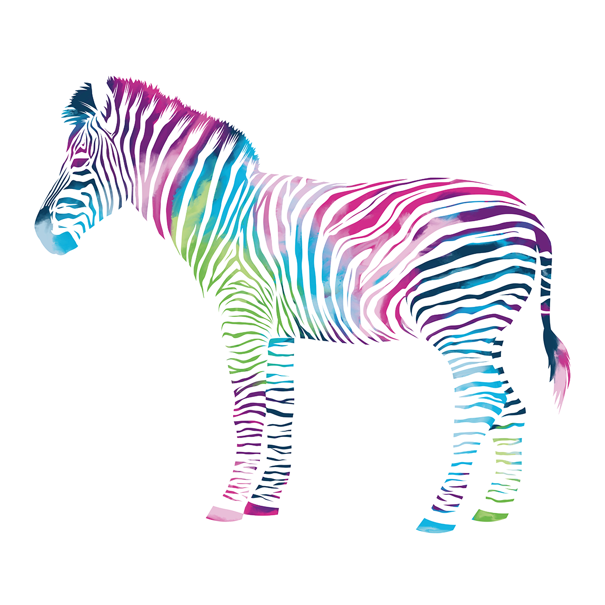Buntes Zebra Aktion #colourUp4RARE