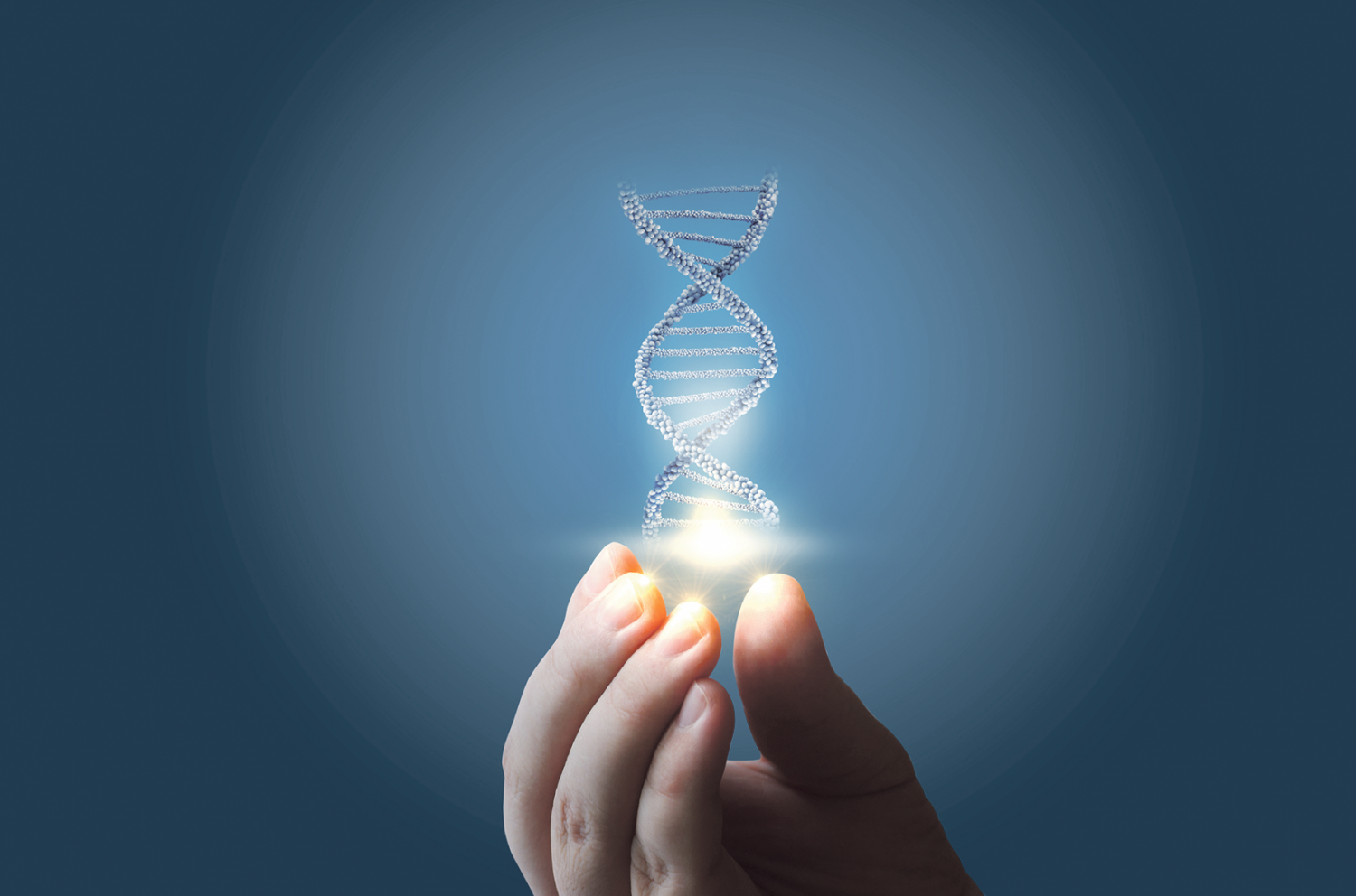 Modell einer DNA-Doppelhelix wird in einer Hand gehalten